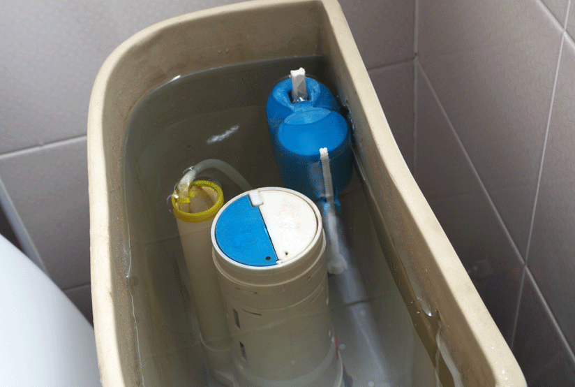 Blocked Toilets Birkenhead